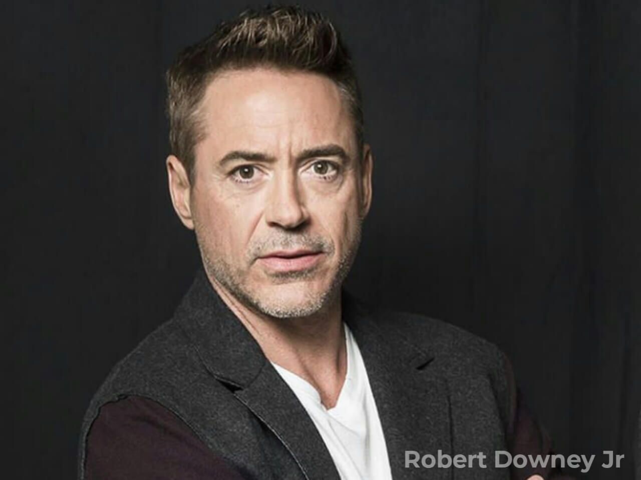 Robert Downey Jr Net Worth 20   Tony Stark net worth,biography